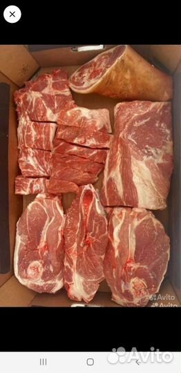 Свежее Мясо свинина