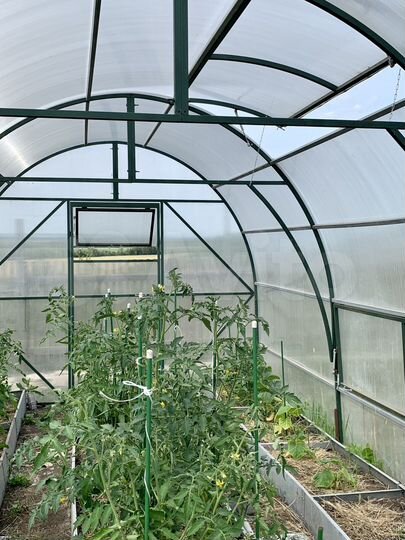 Дача 45 м² на участке 15 сот.