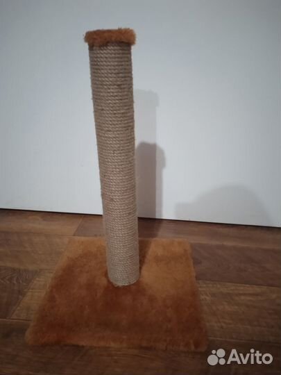 Когтеточка