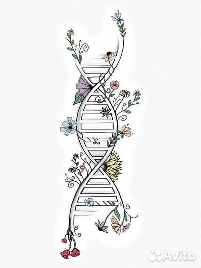 Репетитор по биологии огэ