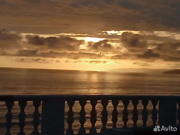 Коровы с телятами