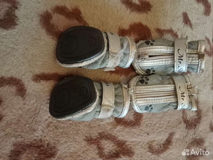 Ботиночки зимний собачьи