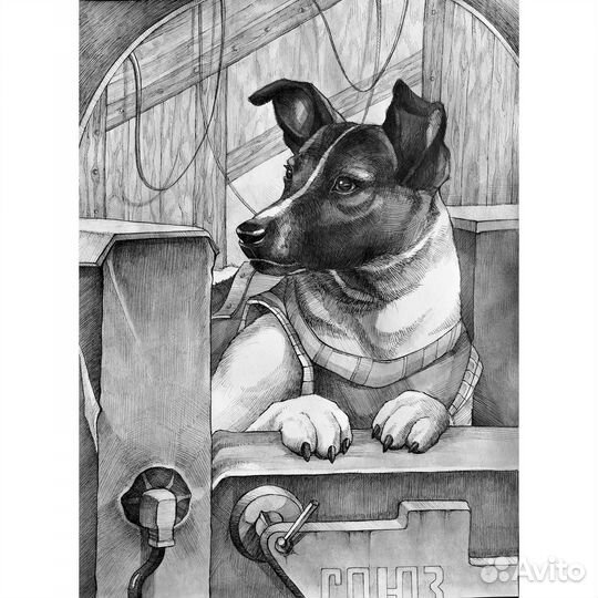 Художник-иллюстратор