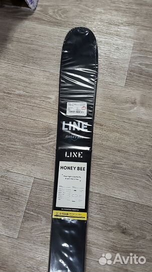 Горные лыжи twin tip166