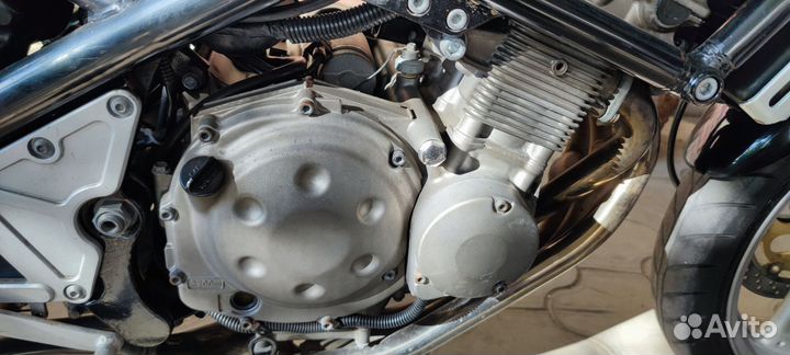 Suzuki bandit GSF250
