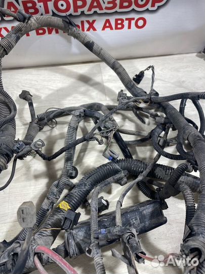 Проводка двс Renault Sandero 2013