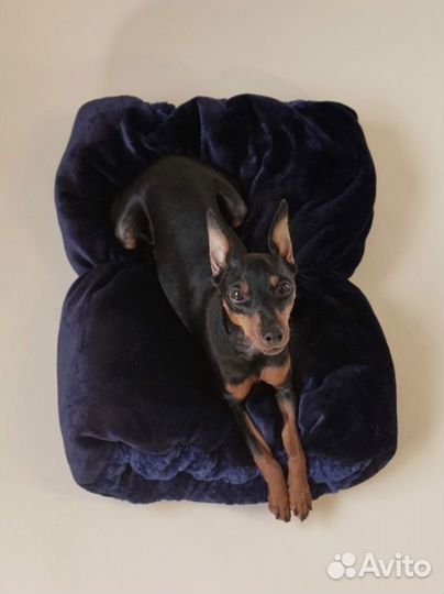 Лежанка для собак и кошек