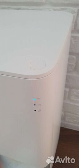 Умная кормушка для животных в прокат