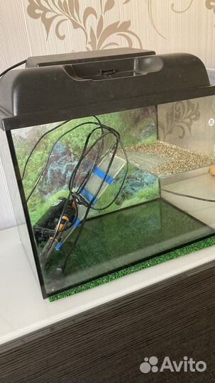 Аквариум для черепах большой