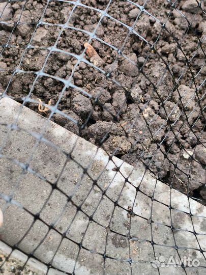 Сетка от Кротов Ландшафтная для рулонных газонов