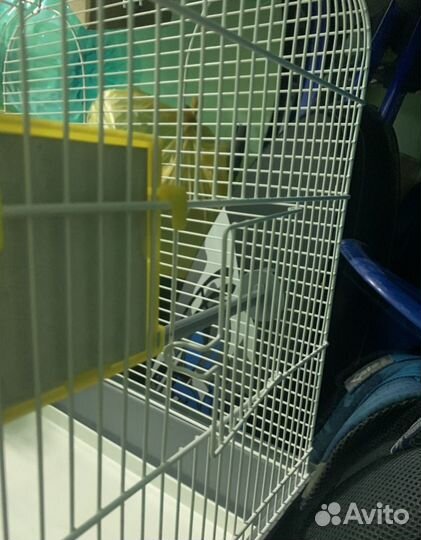 Клетка для попугаев большая и Игрушки для попугая