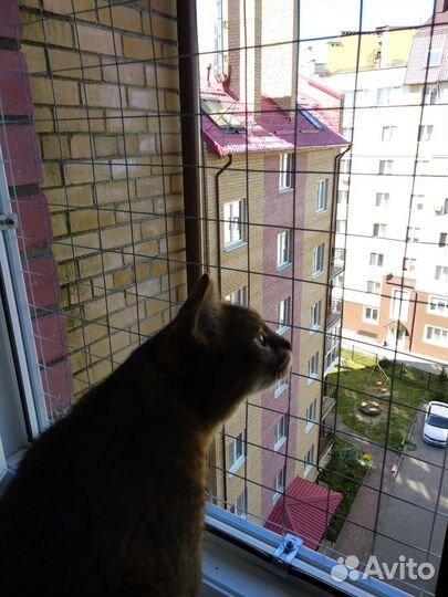 Вольер на окно, балкон для кошки