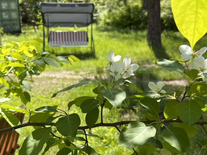 Коттедж 100 м² на участке 20 сот.