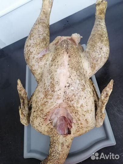 Мясо домашней индейки
