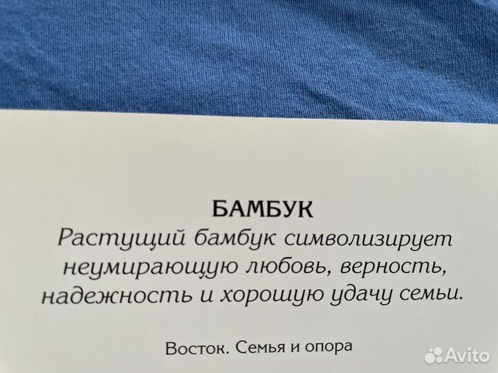 Бамбук символ любви верности надежности и удачи