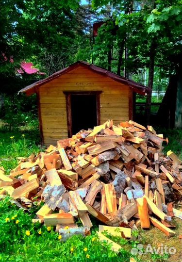 Дрова в СПб