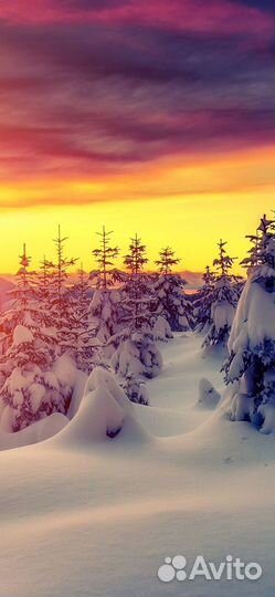 Требуется продавец