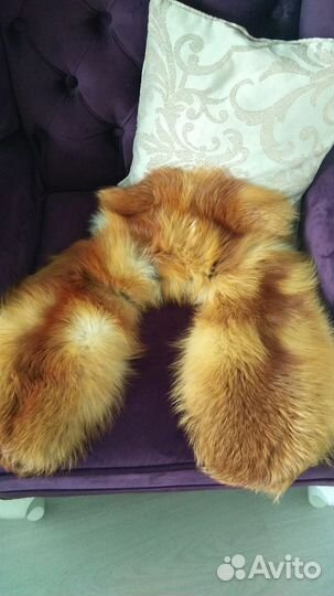 Воротник лисы огнёвка