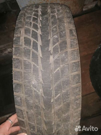 Forward Forward Safari 500