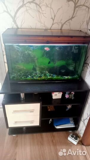 Аквариум с рыбками