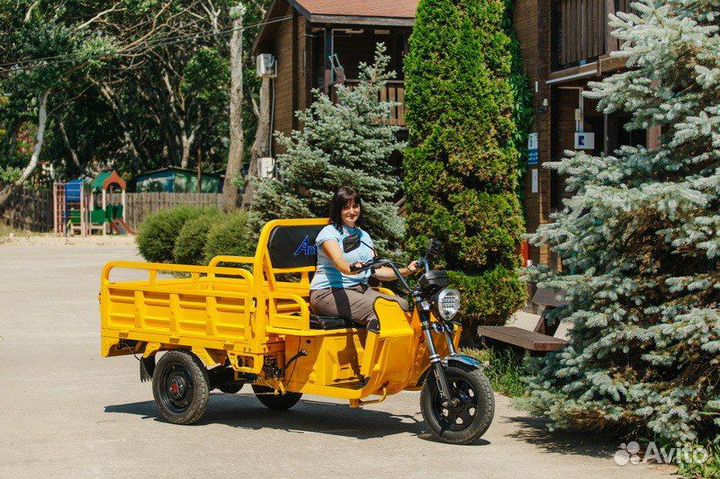 Грузовой электротрицикл Antrike 500