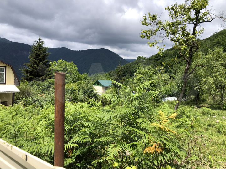 Участок 5,8 сот. (СНТ, ДНП)