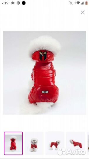 Комбинезон для собак