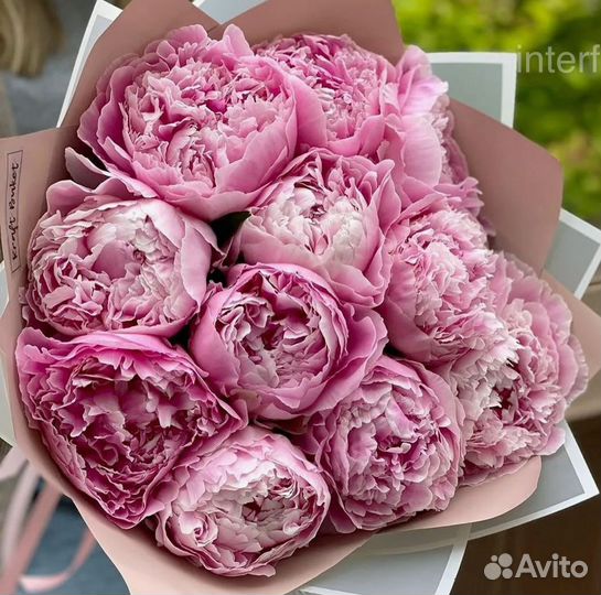 Букет пионов