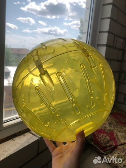 Шар,ванна,гамак,корм для грызунов