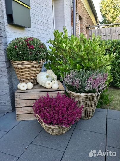 Корзинки плетеные с ручками из ротанга