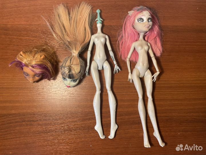 Monster High, Winx, Bratz