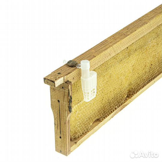 1000 шт. Колпачок на клеточку для подсадки матки