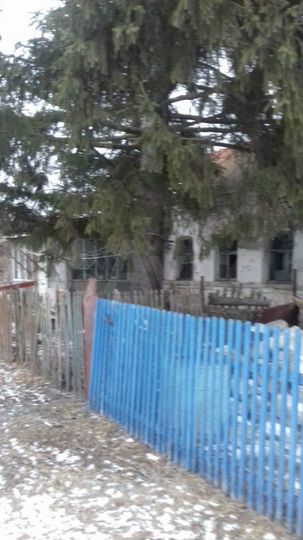 Дом 55 м² на участке 30 сот.