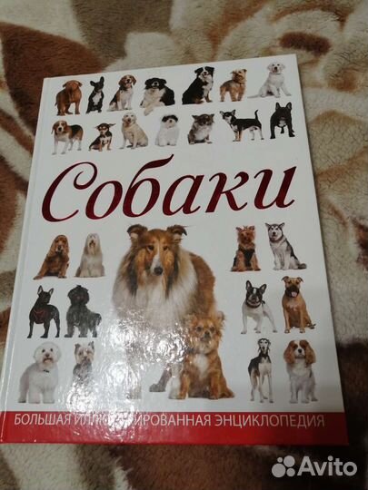 Детская энциклопедия