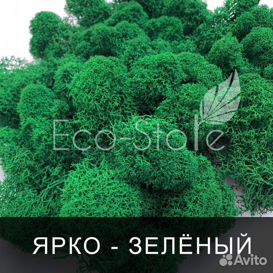 Стабилизированный мох