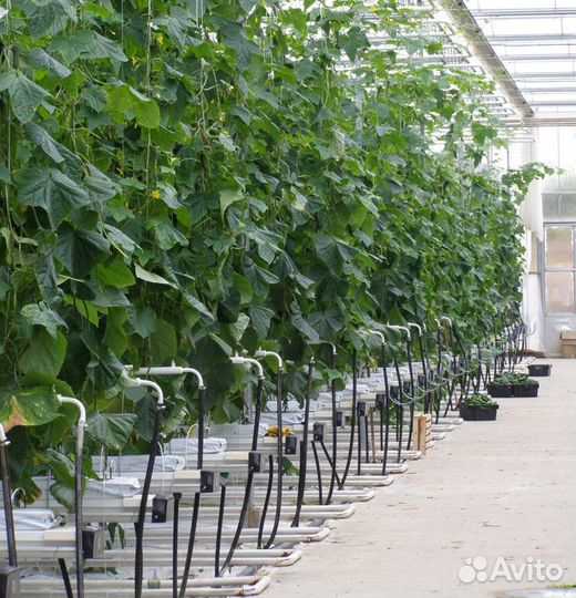 Рабочий звена мониторинга