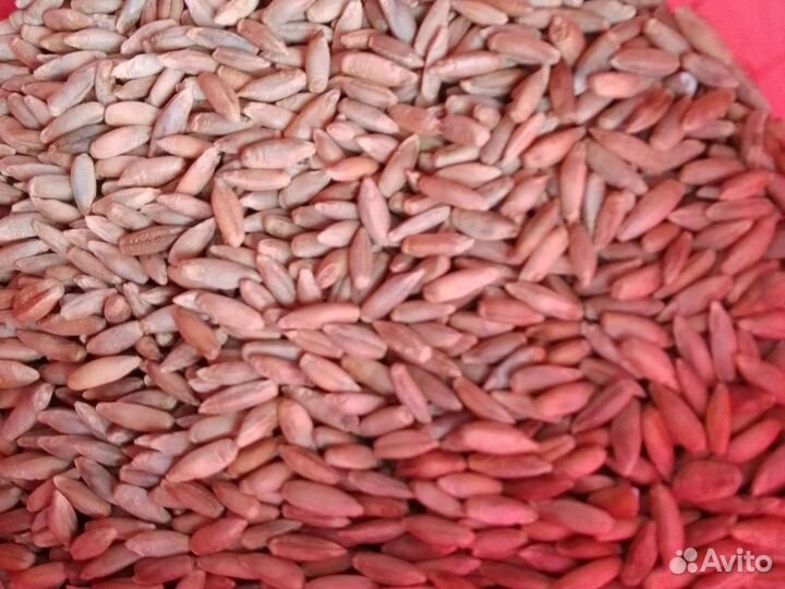 Мельница ручная с твердосплавными жерновами