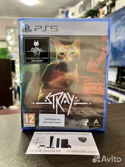 Stray PS5, русские субтитры