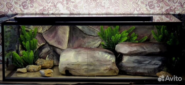 Террариумы, аквариумы (светлое, тёмное исполнение)