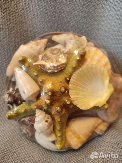 Ракушки набор