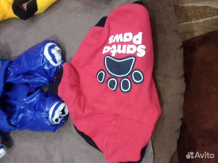 Одежда ля маленьких собак