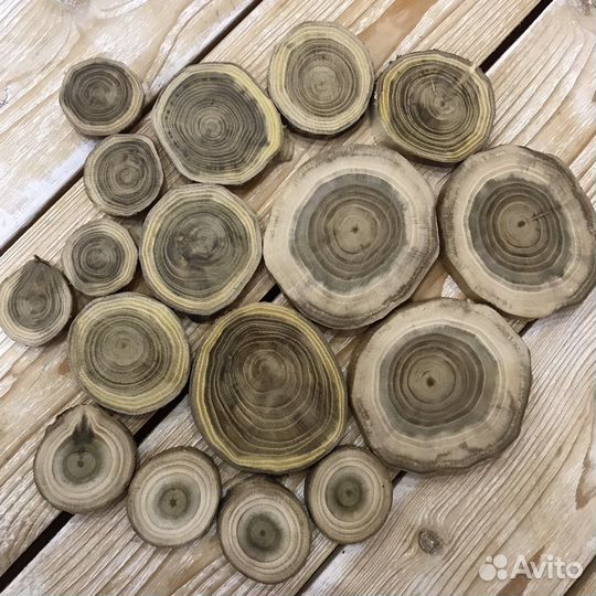 Наборчик спилов