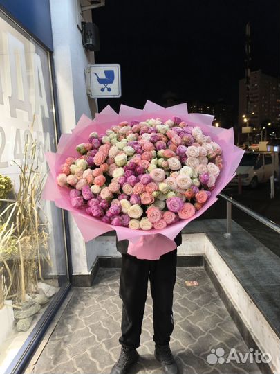 Куставой роза пионавидный