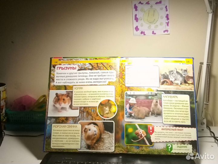 Энциклопедия домашние животные