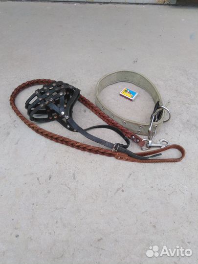 Ошейник и поводок