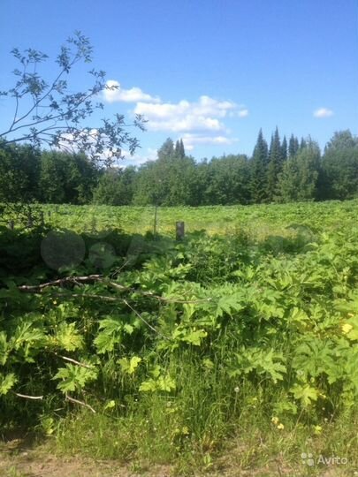 Участок 16 сот. (ИЖС)