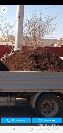 Перегной и навоз