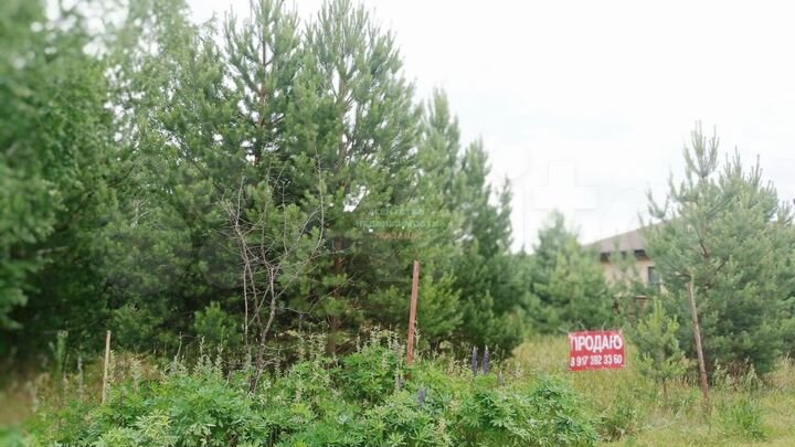 Участок 18,5 сот. (ИЖС)