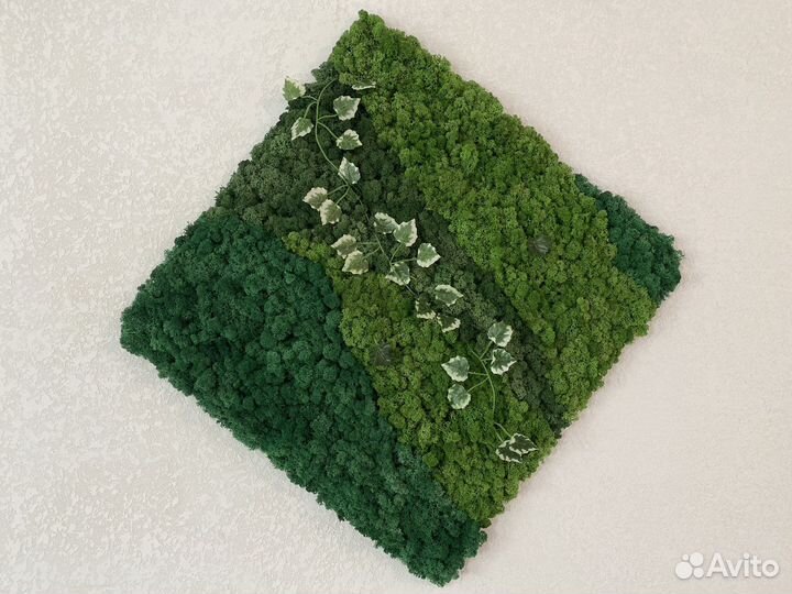 Панно из мха 610*610