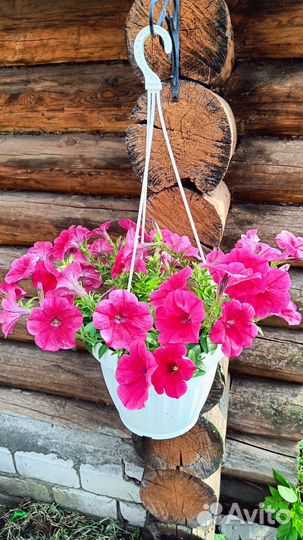Подвесное кашпо